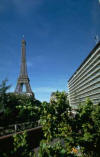 Welcome to the Hilton Paris hotel